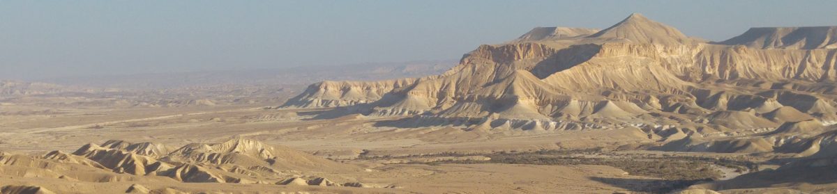 A Local's Guide to the Negev Highlands.