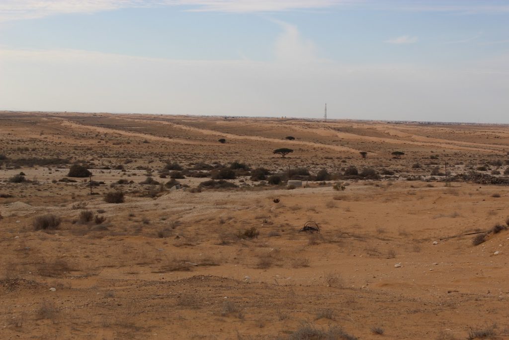 Dunes in Nitzana area