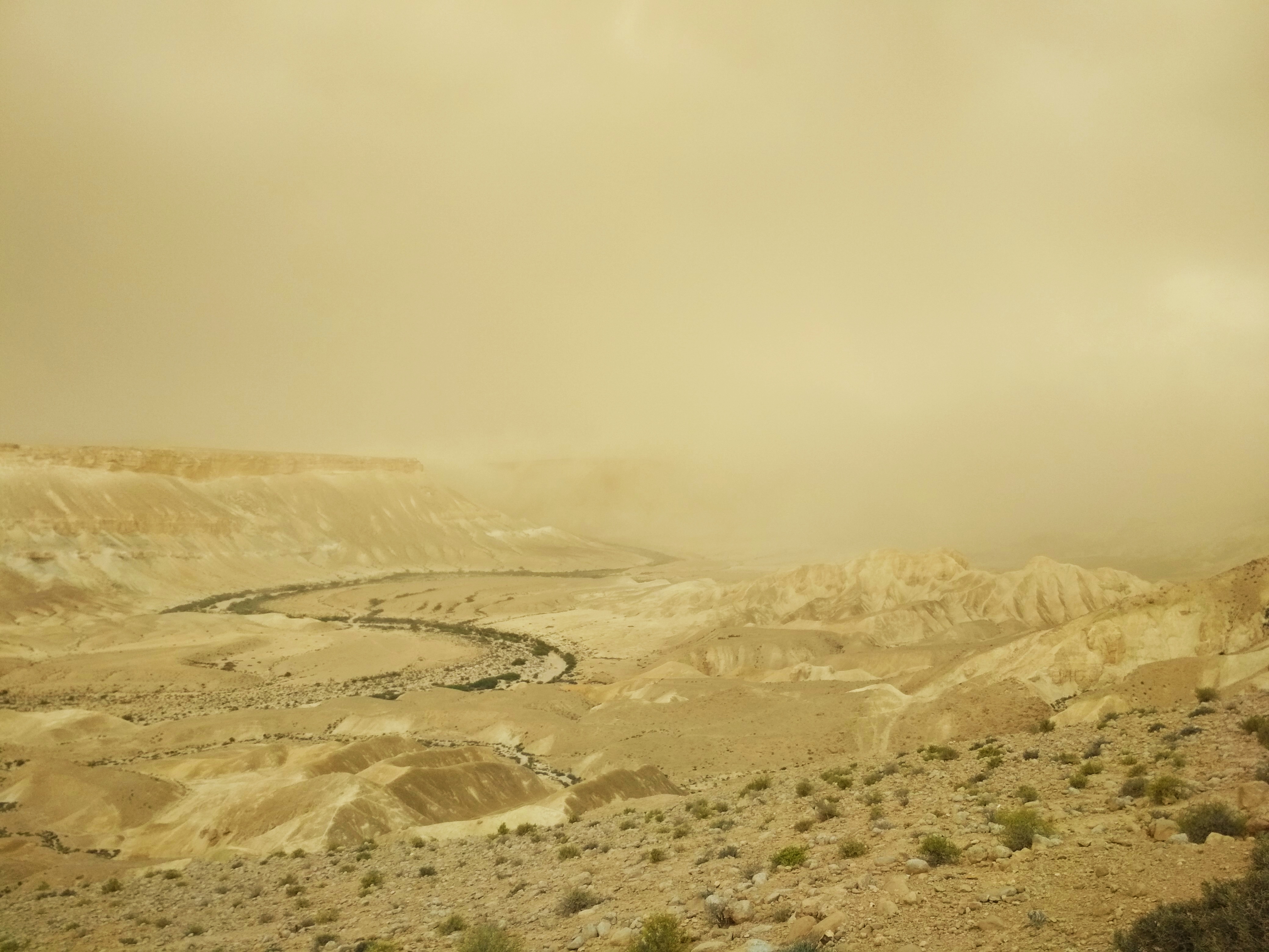 Negve Negev Desert Weather
