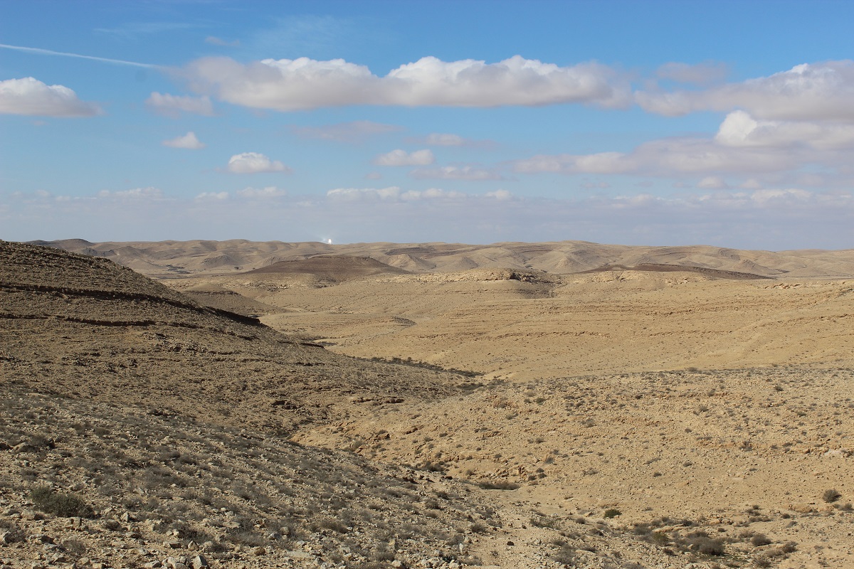 Ashalim Solar Tower view from wadi Hatzatz